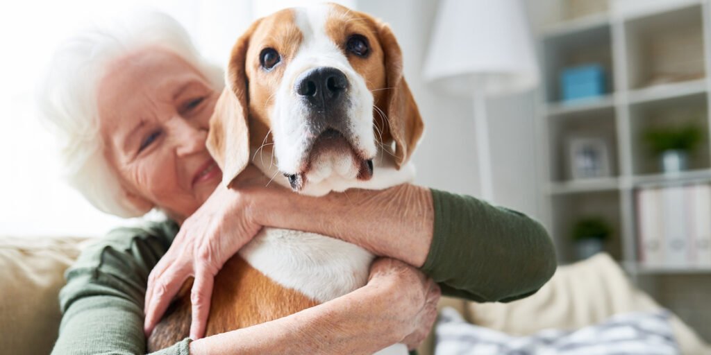 Senior dogs require less time and supervision