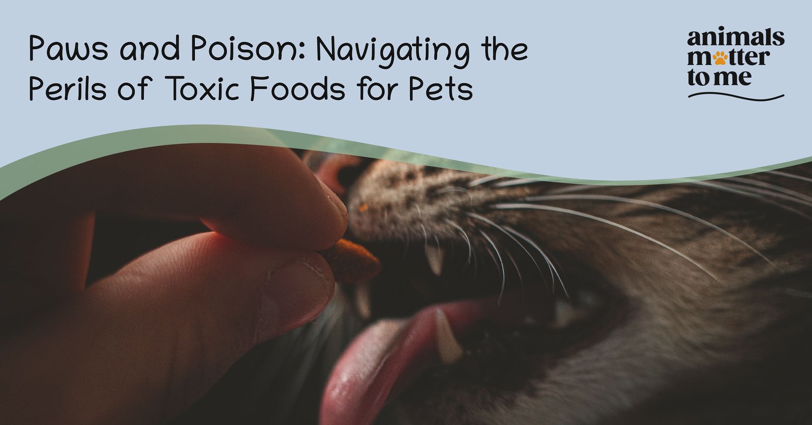 Paws and Poison: Navigating the Perils of Toxic Foods for Pets